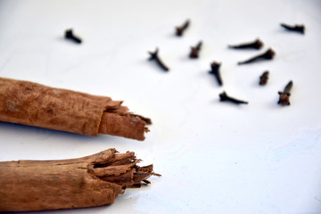 Cinnamon and cloves in white background