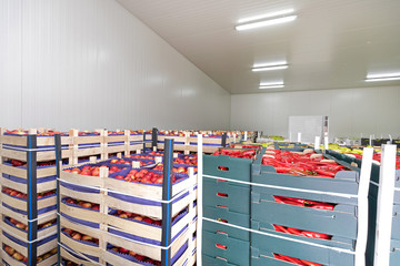 Red Peppers Warehouse
