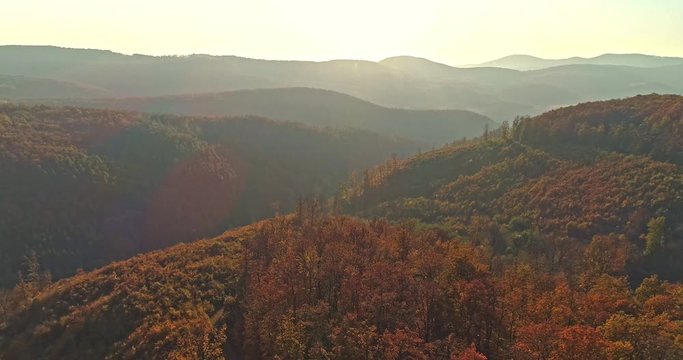Autumn forest drone aerial shot at sunset. Overhead view of foliage trees in Hungary, Matra. Inspiring autumn season landscape panorama.