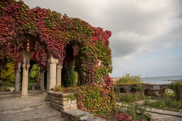 Obraz premium leaves on an arch
