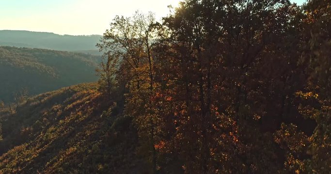 Autumn forest drone aerial shot at sunset. Overhead view of foliage trees in Hungary, Matra. Inspiring autumn season landscape panorama.