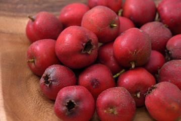 Red fruits of Japanese hawthorn, on the branch, Crataegus cuneata