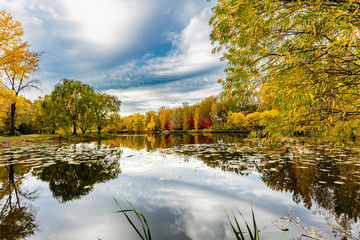 Angrignon parc in full fall colors, Quebec, Canada.