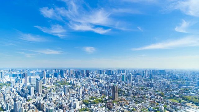 東京　2019　タイムラプス　春　新緑と青空