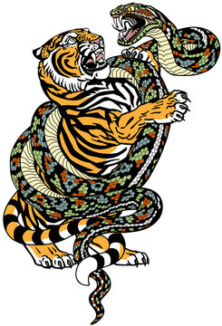 fight between tiger and snake. Angry reptile coiled the big cat. Graphic style vector illustration. Tattoo