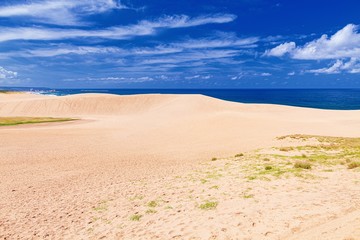 鳥取県・鳥取市 夏の鳥取砂丘の風景