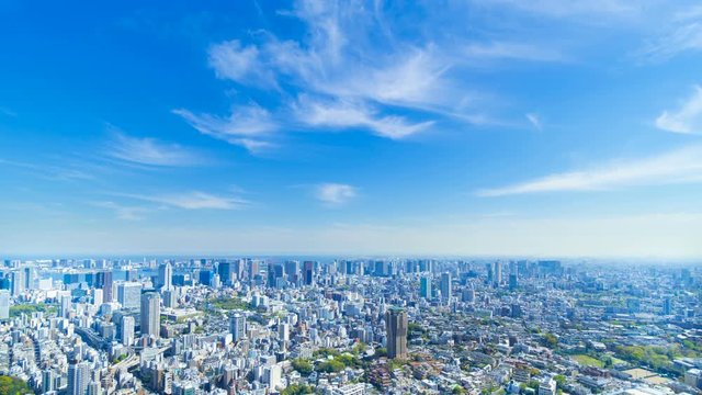 東京　2019　タイムラプス　春　新緑と青空
