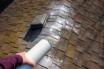 Woman’s hand shaking moss killer granules on the ridgeline of a house with asphalt shingle roof