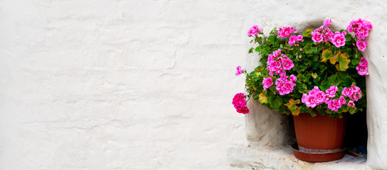 Geraniums in a flower pot standing in a wall recess