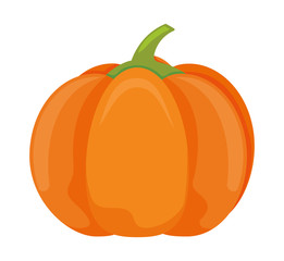 pumpkin in harvest on white background