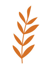 Fototapeta na wymiar branch with leaf on white background