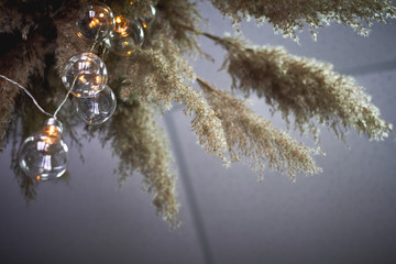 Bottom view composition of reeds and a garland of light bulbs, selective focus