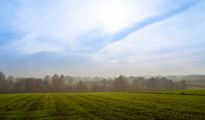Fototapeta na wymiar Morning, peacefull, misty country ranch green fields