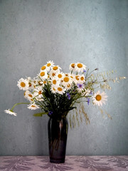 Bouquet of daisies on a table on a gray background. Wildflowers.