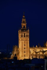 Fototapeta na wymiar Seville night rooftop view