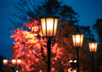 Cathedral lightposts in autumn evening
