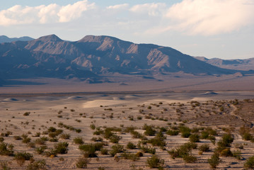 Mojave desert landscape with dunes, hills and vegetation