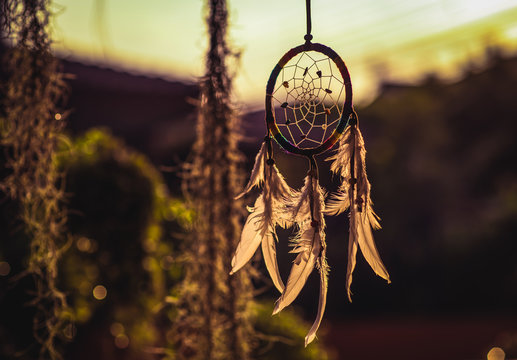 Dream catcher