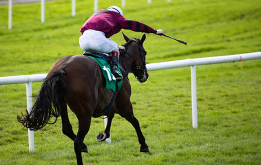 Single race horse and jockey galloping down the track