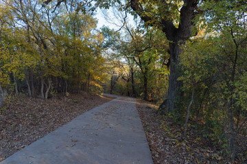 Concrete path in the autumn park on a sunny evening.