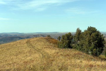 Foothills of the Altai Mountains. Western Siberia. Russia