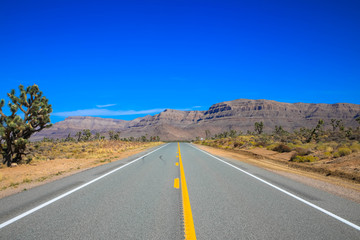 Fototapeta na wymiar Open road, Desert Highway, California