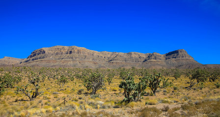Mountains and Desert near Grand Canyon, California