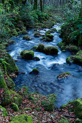 Obraz premium 渓流