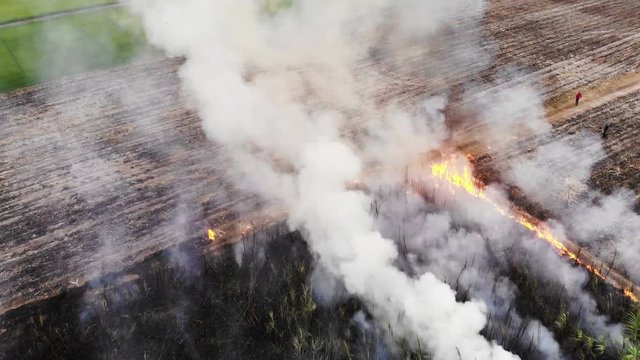The problem sugarcane burning emissions have a negative impact on public health and it is greenhouse effect and earth warming.