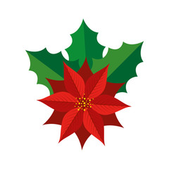 flower christmas decorative with leafs vector illustration design
