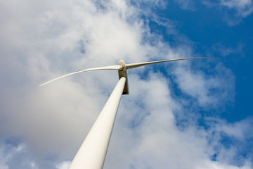 Wind farm producing clean green energy