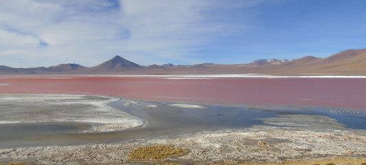Laguna Colorada is a breeding place for Andean flamingos, migratory birds that count for miles in their mineral-rich waters. In Potosi Bolivia