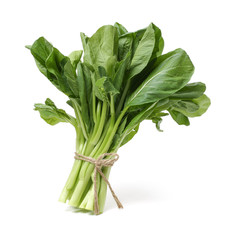 Green kale on a white background