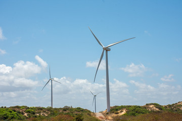 Wind farm producing clean green energy