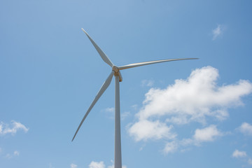 Wind farm producing clean green energy