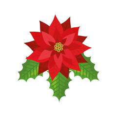 leafs with flower christmas isolated icon vector illustration design