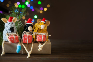 Rats knitted from yarn in Christmas caps. Gift boxes, spruce branches and Christmas garland.