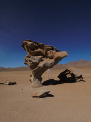 Stone Tree in the Siloli Desert, Potosi Bolivia