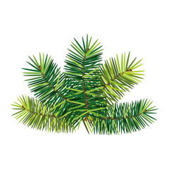 leafs tropicals of christmas decorative isolated icon vector illustration design