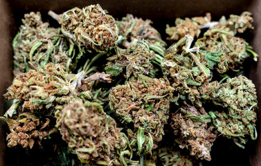 dried hemp flowers cbd macro