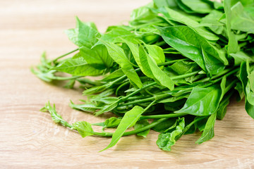 Gurmar leaf (Gymnema inodorum) on wooden background, medicine herbal plant for diabetes treatment, function is control sugar level in blood