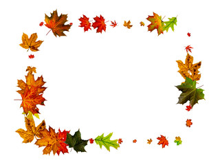 Naklejka na ściany i meble Autumn background. Falling October leaves isolated on white. Season concept