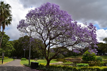 The view of Sydney in Australia