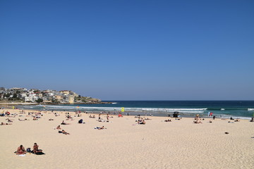 Fototapeta na wymiar Bondi Beach in Sydney, Australia