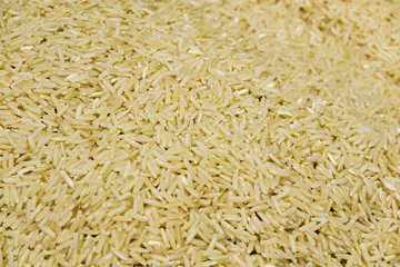 Asian Thai organic raw rice unmilled healthy food carbohydrate nutrition agriculture harvest in natural farm pattern textured background