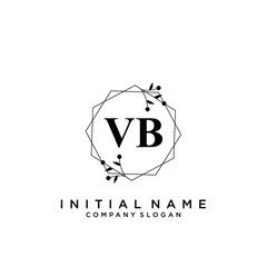 Letter VB Beauty Logo Template Vector