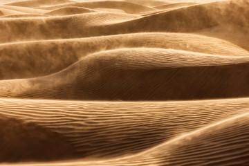 Windswept desert sand dunes. © Rosa Frei