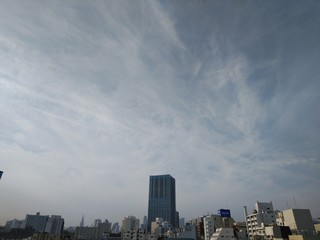 高田馬場から見る新宿ビル群