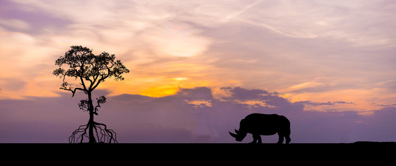 Fototapeta na wymiar Amazing sunset and sunrise.Panorama silhouette tree in africa with sunset. Dark tree on open field dramatic sunrise.Safari theme.Giraffes , Lion , Rhino.