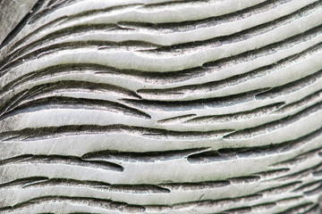 metal steel texture background